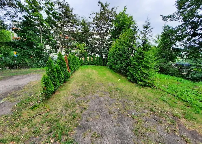 Dom Artysty アパート *